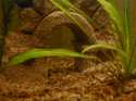 ���� �� ��������������� �������